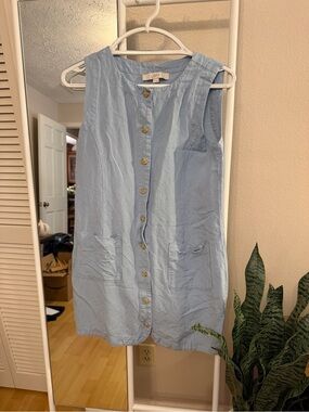 LOFT Pale Blue Sleeveless Button-Down Shift Dress